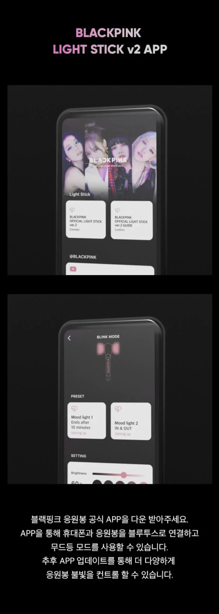 BLACKPINK - OFFICIAL LIGHT STICK VER.2 RENEWAL EDITION - Image 5