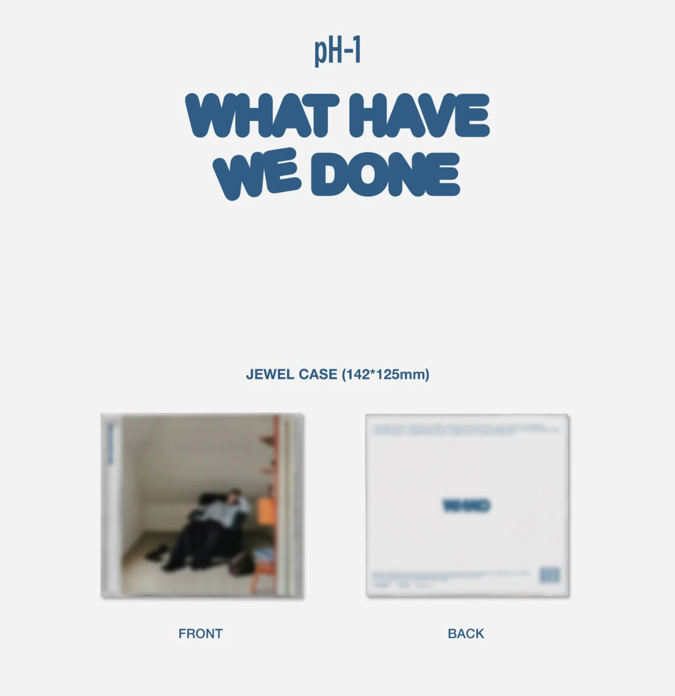 PH-1 - WHAT HAVE WE DONE - Image 2