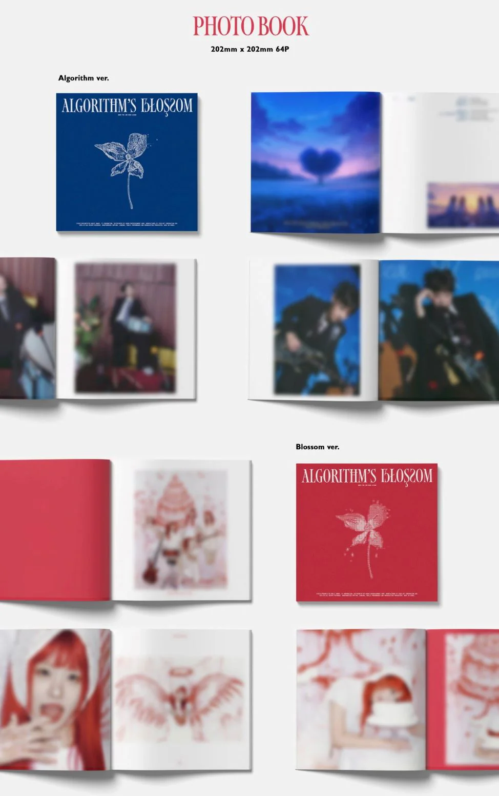 QWER - ALGORITHM'S BLOSSOM - Image 3