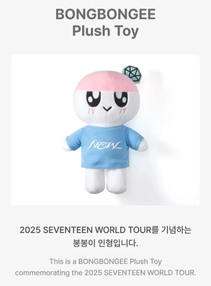 SEVENTEEN - NEW_ 2025 WORLD TOUR IN INCHEON OFFICIAL MD - Image 14