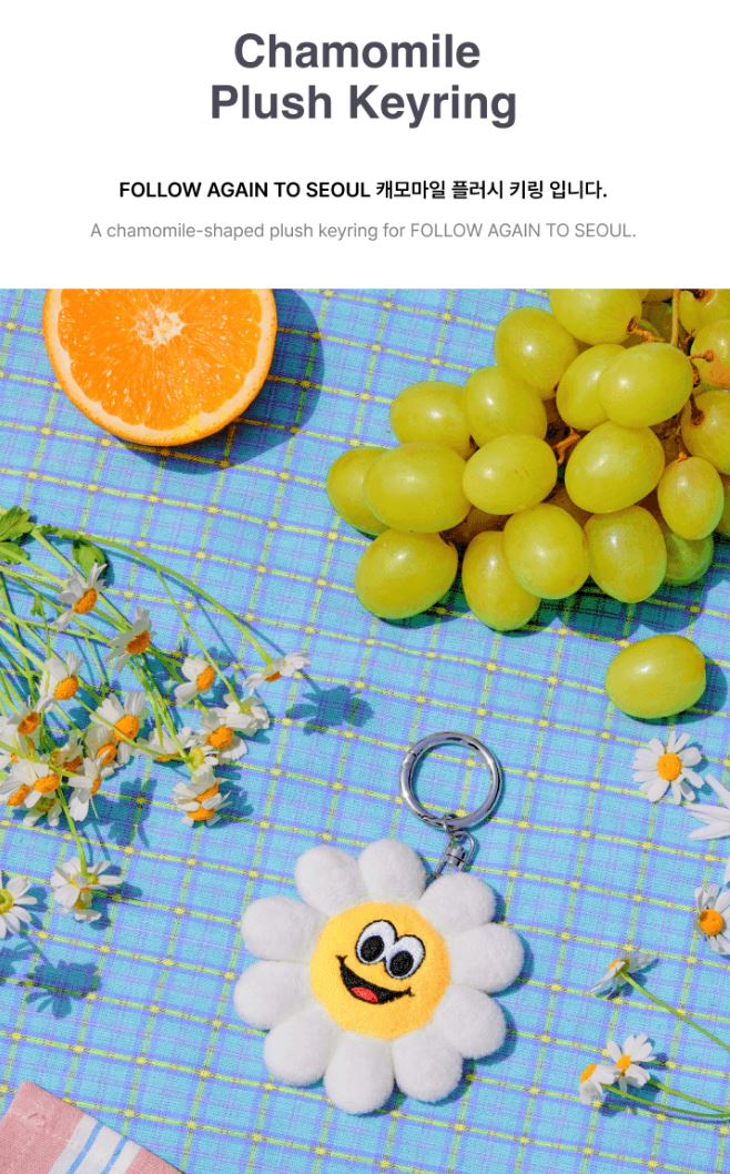 SEVENTEEN - TOUR 'FOLLOW' AGAIN TO SEOUL MD - Image 2
