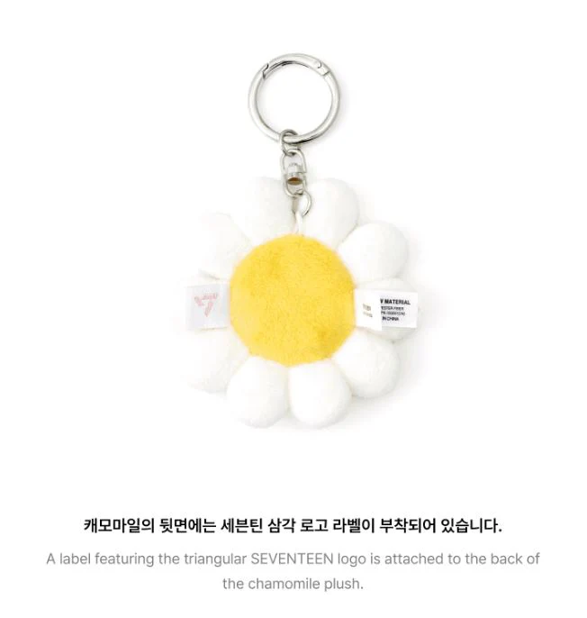 SEVENTEEN - TOUR 'FOLLOW' AGAIN TO SEOUL MD - Image 4