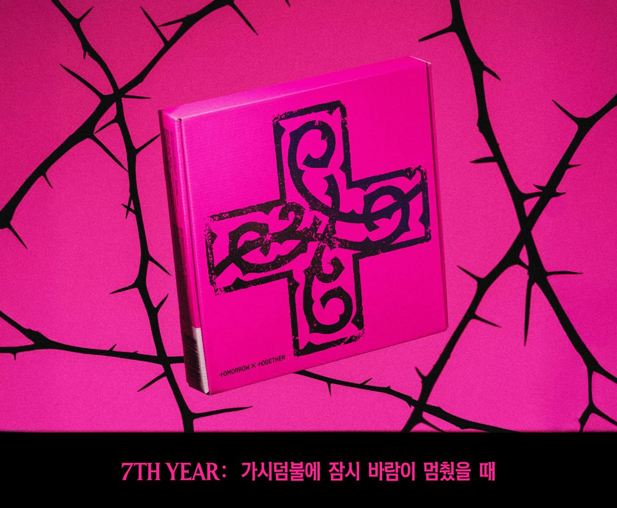 TXT - 7TH YEAR: WHEN THE WIND PAUSED AMONG THE THORNS (CUSHION OF THORNS VER.) - Image 2