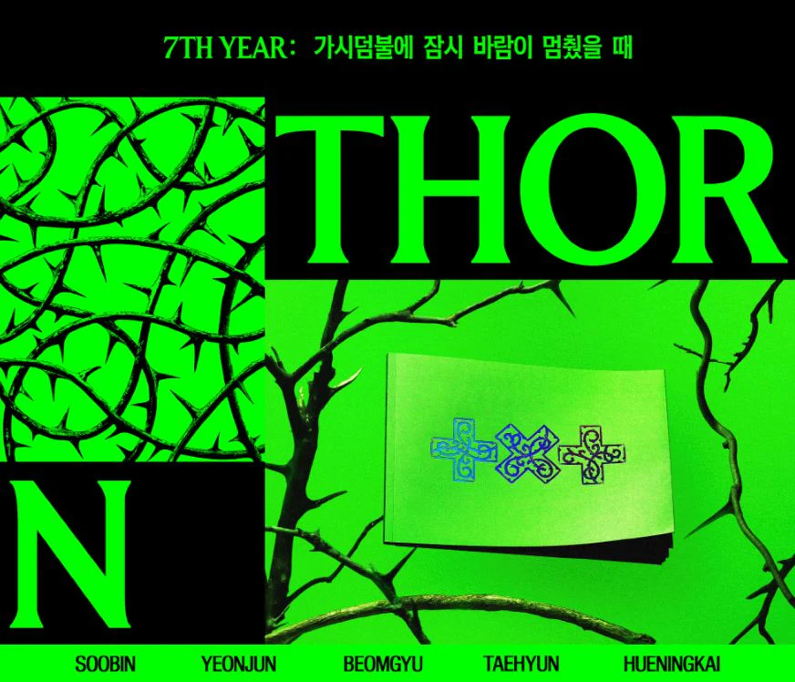 TXT - 7TH YEAR: WHEN THE WIND PAUSED AMONG THE THORNS (THORN VER.) + Weverse Gift - Image 3