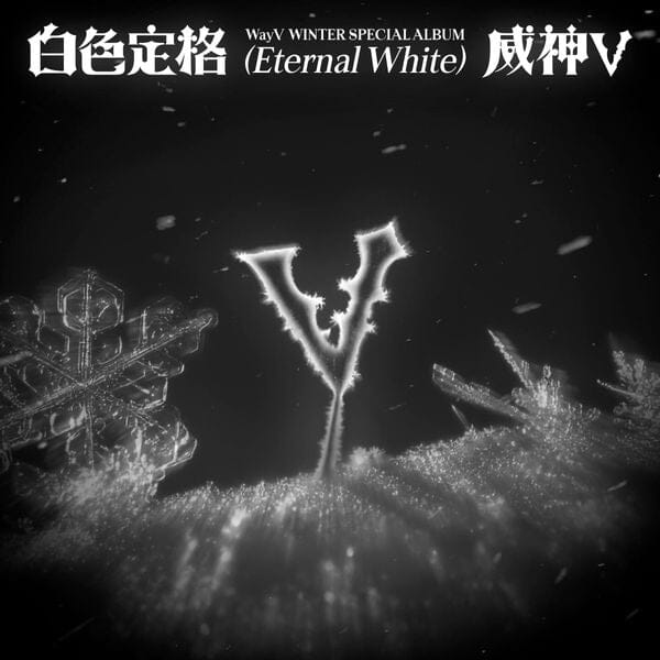 WayV - Winter Special Album [白色定格 (Eternal White)] (Photo Book Ver.)